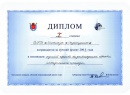 Diploma of Winner of The Best International Project Contest  (2003)
