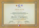Diploma of the Ministry of Regional Development (2012)